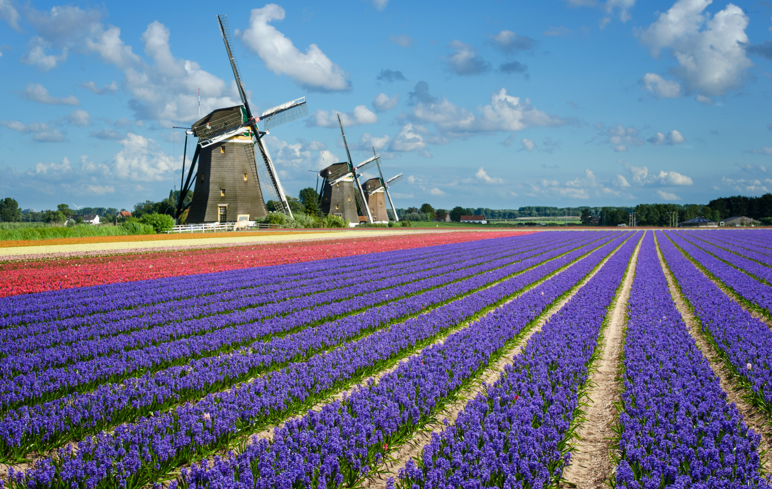 Netherlands apartments